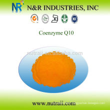 Reliable supplier and high quality bulk Coenzyme Q10